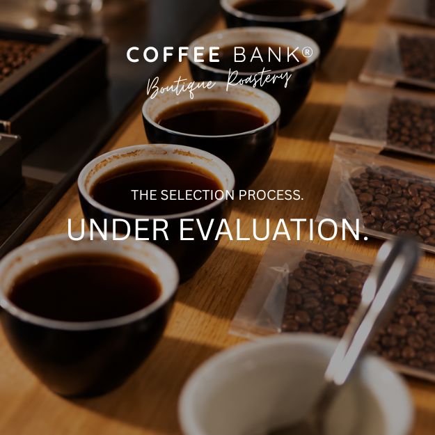 Papaya Ecuador